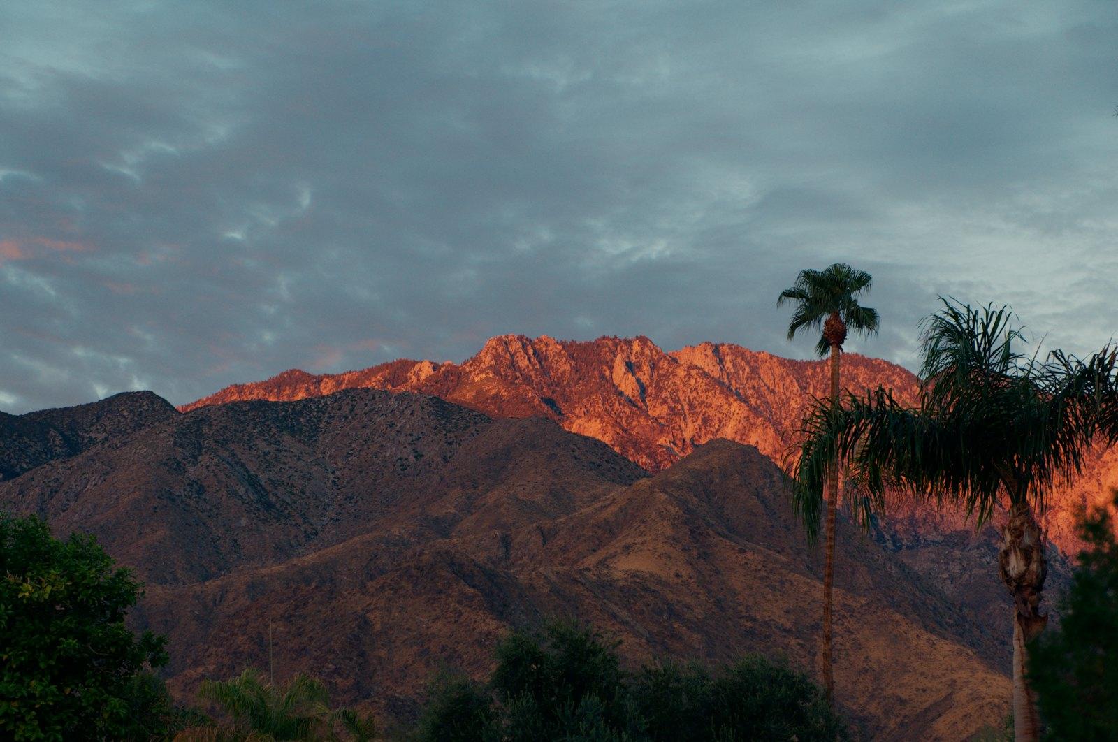 Mountain peaks glowing in warm evening light